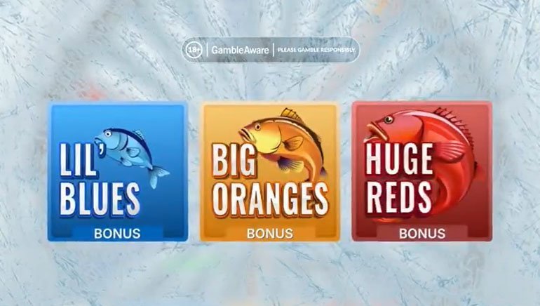 Erfahre die Magie des Eisfischens in Live Casinos in Deutschland