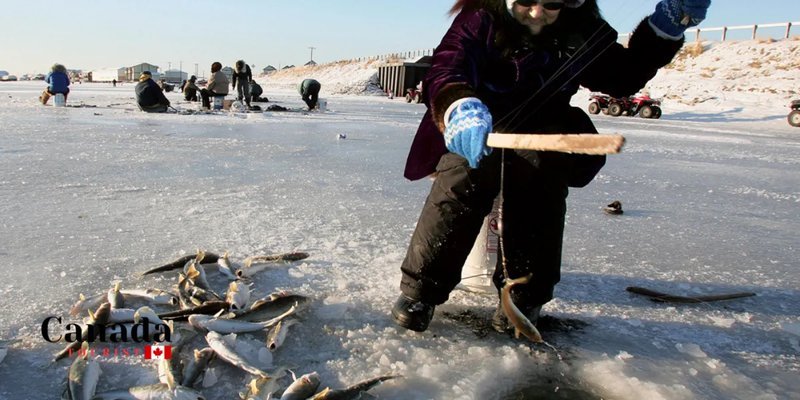 Experience the Thrill of Britain's Ice Fishing Live Casino Games Online - overview